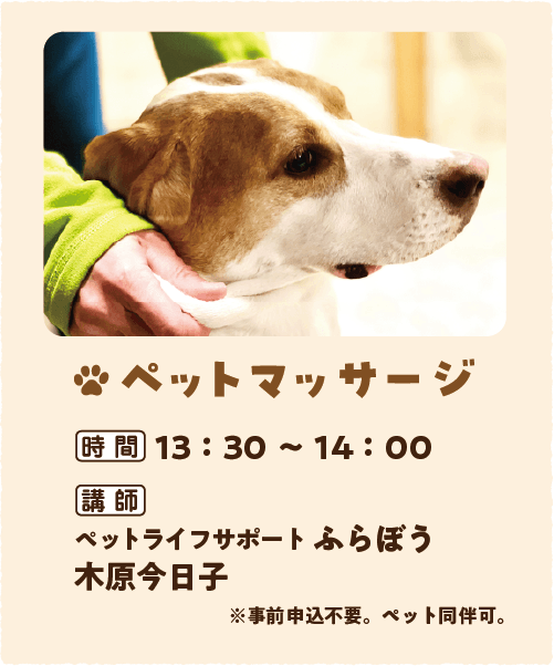 ペットマッサージ 開催時間は13時30分から14時まで 講師はペットライフサポートふらぼうの木原今日子氏