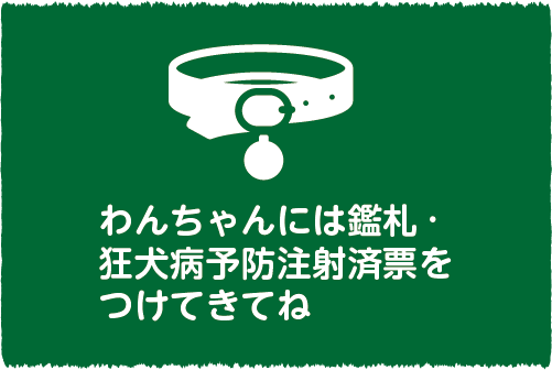 わんちゃんには鑑札・狂犬病予防注射票をつけてきてね
