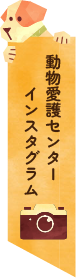 動物愛護センター公式インスタグラム
