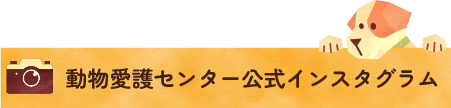 動物愛護センター公式インスタグラム