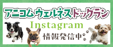 ドッグラン情報発信中　Instagramボタン