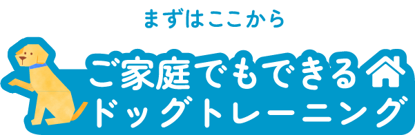 まずはここからご家庭でもできるドッグトレーニング